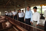 Đệm lót sinh học – mô hình mới cần nhân rộng